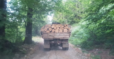 &quot;Pyjet e Shkodrës drejt shkatërrimit të plotë nga mafia e narkoshtetit&quot;