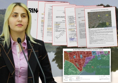 Betonizimi i Parkut/ PD: Do ndërtojë kulla klienti i pushtetit