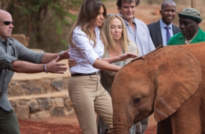 VIDEO/ Momenti kur Melania Trump goditet nga një elefant