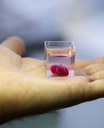 Shkencëtarët izraelitë printojnë zemrën e njeriut në format 3D
