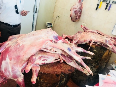 Foto/ Zbulohen dhe asgjësohen 308 kg mish i rrezikshëm në Pogradec