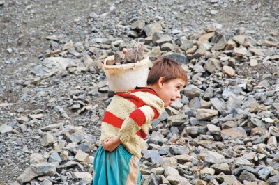 29.1% e popullsisë në Shqipëri jeton në varfëri