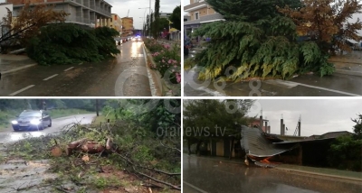Stuhi në Divjakë, shikoni pasojat nga era e fortë dhe shiu