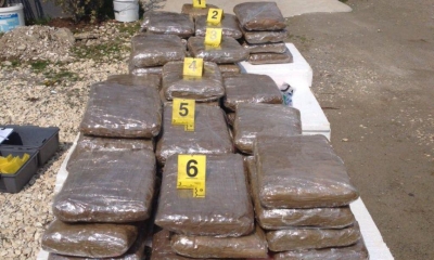 Biznesmeni shkodran në gjyq për 700 kg drogë