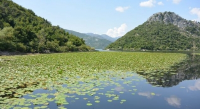 CNN artikull për liqenin e Shkodrës: Ulni një marsh kur të shkoni ta vizitoni!