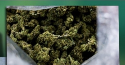 Gruaja e fshihte drogën në vende intime dhe ia çonte burrit. 8 punonjës të burgut bëhen &#039;kurbanë&#039;