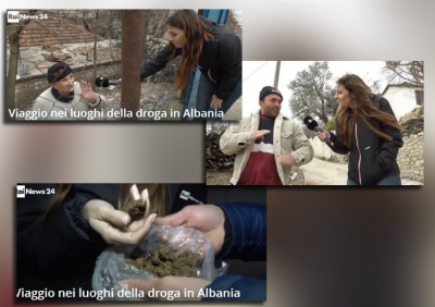 ‘Udhëtim në plantacionet e drogës në Shqipëri’/ Gazetarja e RAI mbush duart me kanabis në Tepelenë