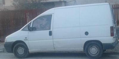 Bënin gjëmën me vjedhje bagëtish, kush janë 3 të arrestuarit