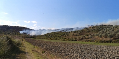 Lushnje, zjarr një kodër, rrezikon banesa e biznese