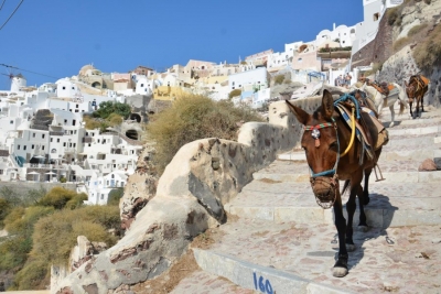 Greqia me ligj kundër turistëve që peshojnë mbi 100 kg