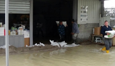 Berat/ Reshjet e shiut përmbysin rrugët, pusetat të bllokuara