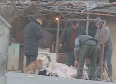 Sekuestrohet 21kg mish në Përmet, shtetasi therte kafshë në oborrin e shtëpisë