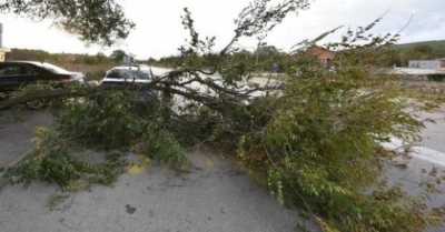 Mot i keq në Kroaci, era shkul pemë, ndërsa kanë nisur edhe përmbytjet