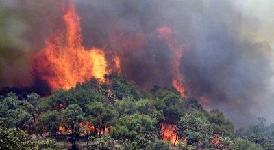 Kruja përfshihet nga flakët, rrezikohet linja e tensionit Shqipëri-Kroaci