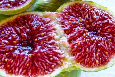 Njollat e bardha në lëkurë – Shenjat e mungesës së vitaminave në organizëm