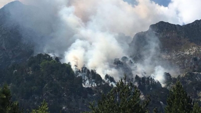 Zjarrvënie e qëllimshme, Parkun Kombëtar i Thethit përfshihet nga flakët