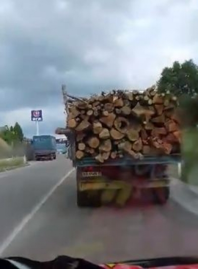 Video/ Kryebashkiaku i Maliqit shkatërron pyjet