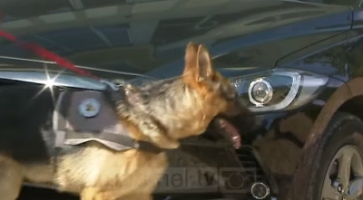 VIDEO/ Qeni që ruan Vetting-un