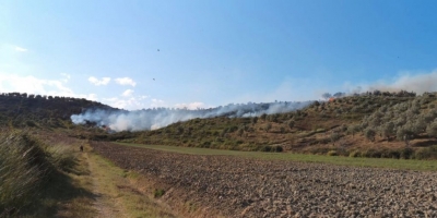Lushnje, një zjarr i fuqishëm në kodër rrezikon banesa e biznese