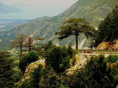 Pushime në Shqipëri, turistja çeke zhduket në pyllin e Llogarasë