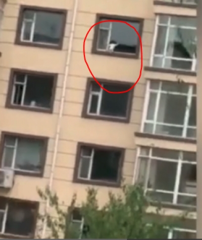 E tmerrshme/ Fëmija luan në dritaren e katit të pestë, rrezik për të rënë