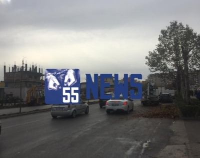 Vazhdon shkulja e pemëve tek zona e “Astirit” (FOTO)