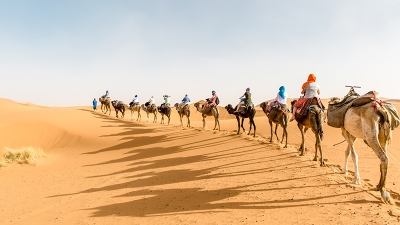 Befasojnë shkencëtarët: Shkretëtira e Saharasë është rritur me 10%