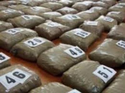 Gjermani/ Sekuestrohet 1 ton kokainë, në pranga 12 persona, shumica shqiptarë