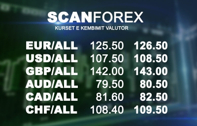 Kursi i këmbimit, euro në nivele të qëndrueshme