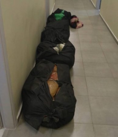 Sekuestrohen 76 kg marijuanë në Igumenicë, pranga 4 shqiptarëve