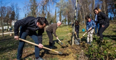 FOTO/ Erion Veliaj mbolli para një viti fidanishte, sot jepet leja për të ndërtuar