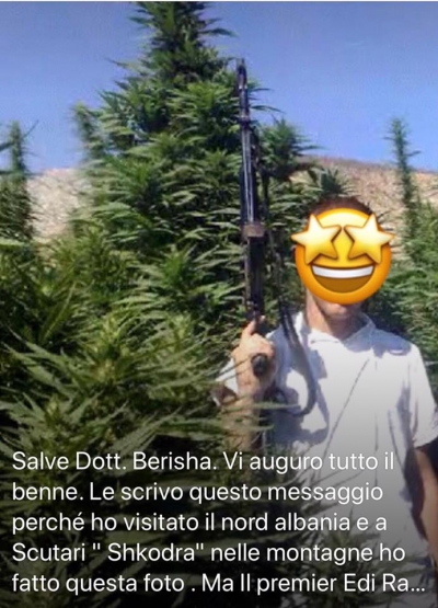 FOTO/ Pranverë e begatë! Italiani pozon mes plantacioneve të hashashit në Shkodër. Ja mesazhi