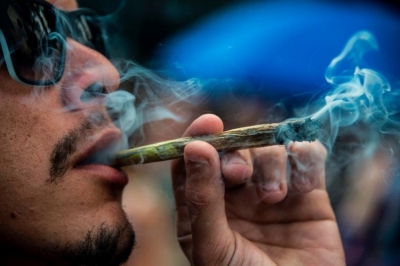 Kanadaja legalizon përdorimin e marihuanës për argëtim