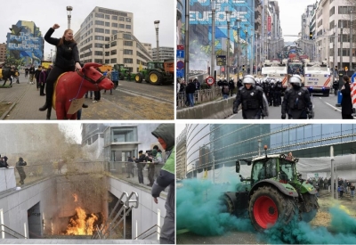 Bruksel, fermerët derdhin pleh dhe panxharë për të protestuar kundër politikës bujqësore të BE