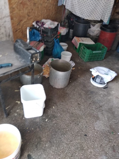 Pamje të tmerrshme/ Kushtet mizerable të dy kuzhinave në Llogara