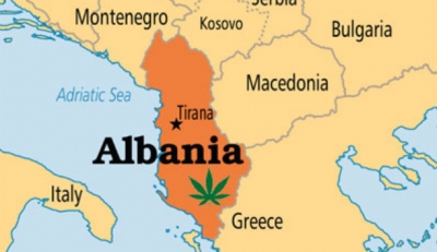 Prestigjozia britanike/ Bandat shqiptare të kokainës ushqejnë dhunën në Angli
