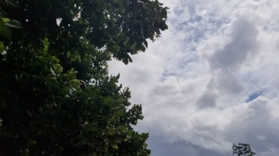 Parashikimi i motit për sot, e mërkurë, 11 dhjetor 2019